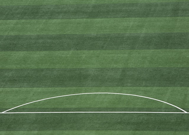 意甲：尤文2-0战胜卡利亚里